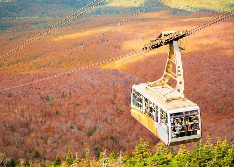 Aomori Full-Day Private Trip with Government-Licensed Guide