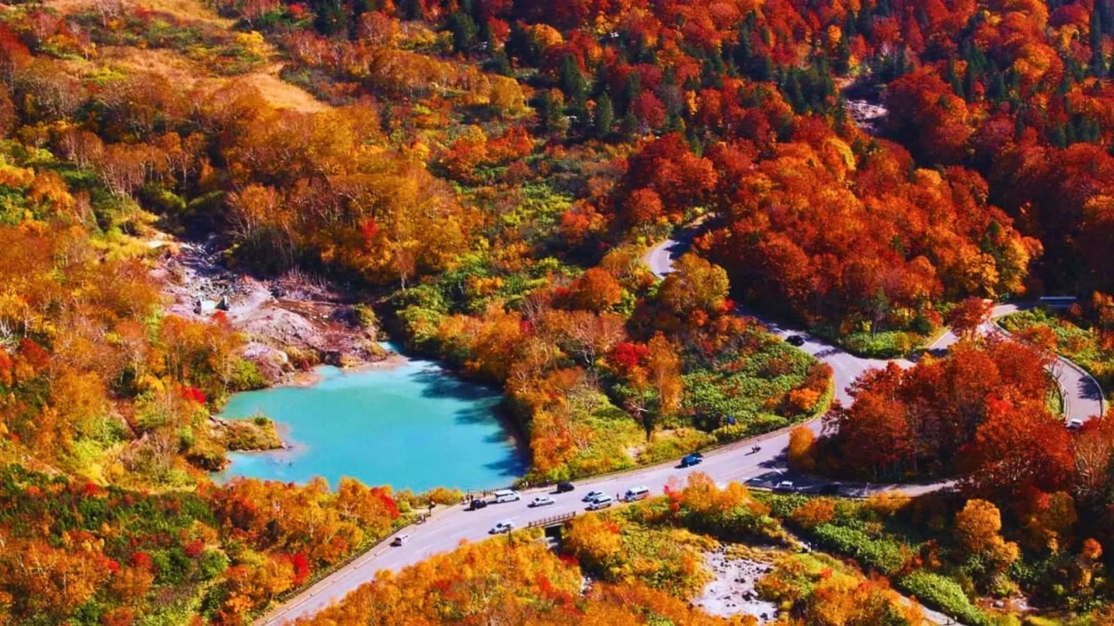 Aomori Full-Day Private Trip with Government-Licensed Guide 2